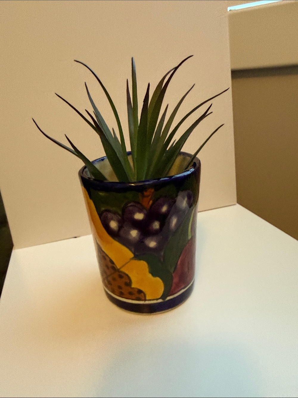 Mexico Hand-Painted Ceramic Fruit Tumbler  Planter Holder with Blue Rim - Picture 6 of 14